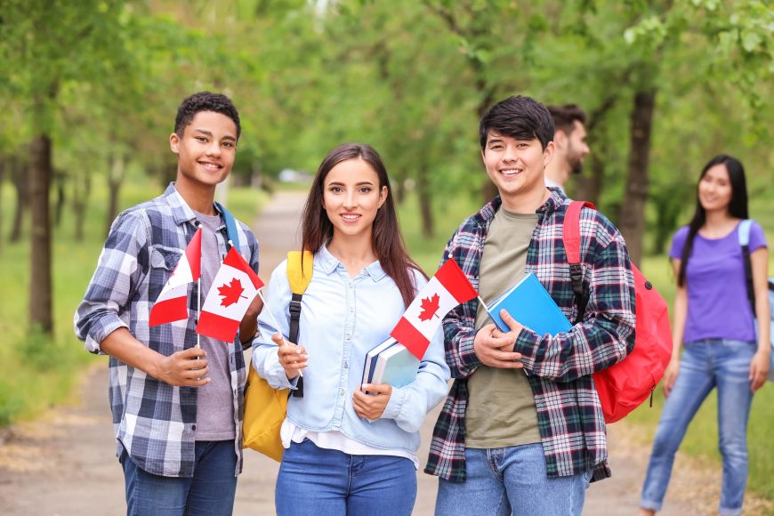 new-zealand-study-career